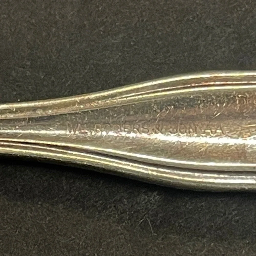 Wm Rogers & Son AA Silverplate 3 Teaspoons Vintage Ornate Floral Beaded ES10‎